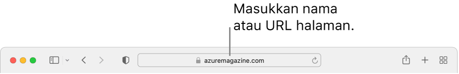 Medan Carian Pintar Safari, tempat anda boleh memasukkan nama halaman atau URL.