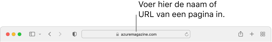 Het slimme zoekveld van Safari, waarin je de naam of URL van een pagina kunt typen.