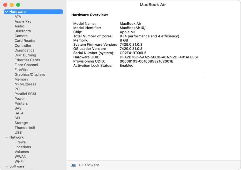 The Hardware Overview section of a system report.