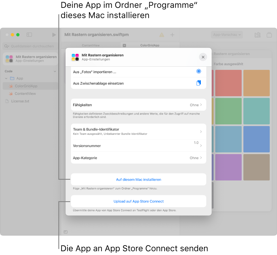 Das Fenster „App-Einstellungen“ für eine App, die Inhalte in einer Rasterdarstellung organisiert. Du kannst die Steuerelemente in diesem Fenster verwenden, um deine App im Ordner „Programme“ auf dem Mac zu installieren, und kannst die App zu App Store Connect hochladen.