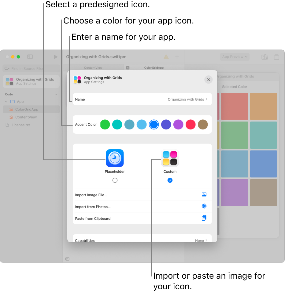 The App Settings window, showing a field for the name of the app, color choices, and options for selecting the art to be used for the app icon.
