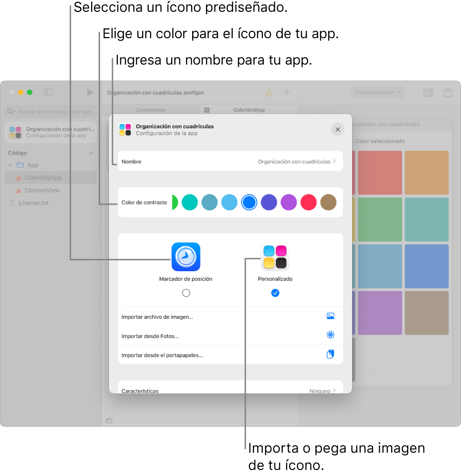 La ventana Configuración de la app mostrando un campo para el nombre de la app, las opciones de color y las opciones para seleccionar la ilustración que se usará para el ícono de la app.