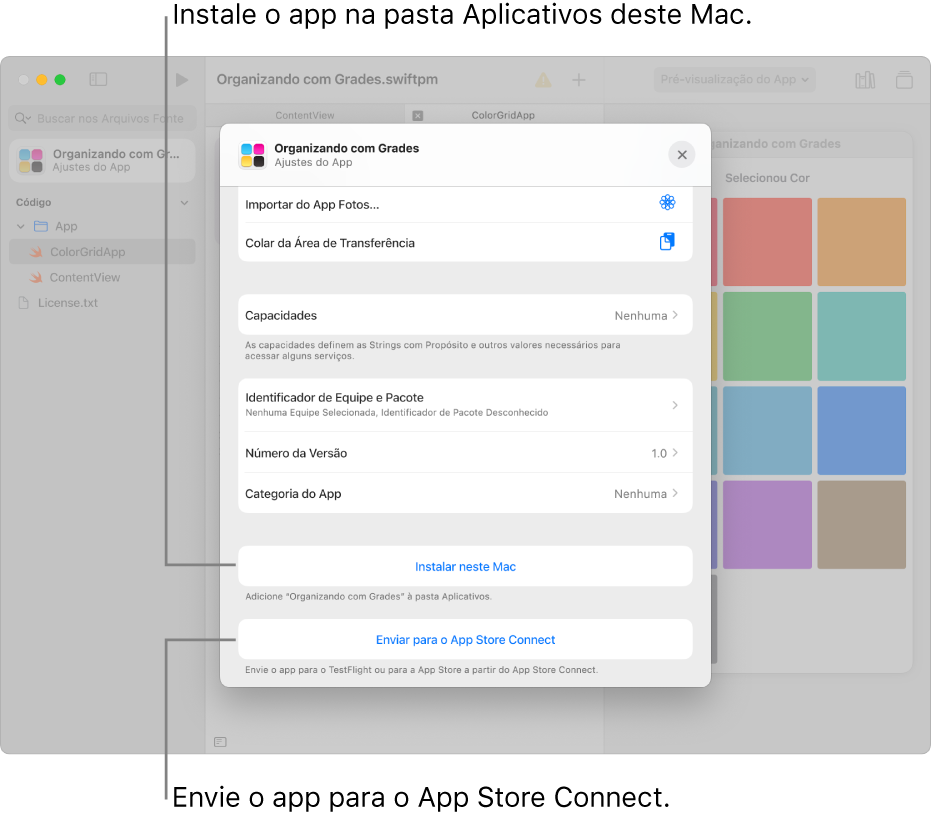 A janela Ajustes do App de um app que usa uma visualização por grade para organizar conteúdo. Você pode usar os controles nessa janela para instalar o app na pasta Aplicativos do Mac e enviar o app para o App Store Connect.