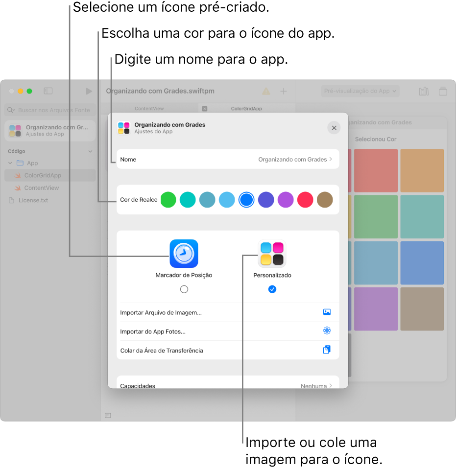 A janela Ajustes do App, mostrando um campo para o nome do app, opções de cores, e opções para selecionar a arte que será usada no ícone do app.