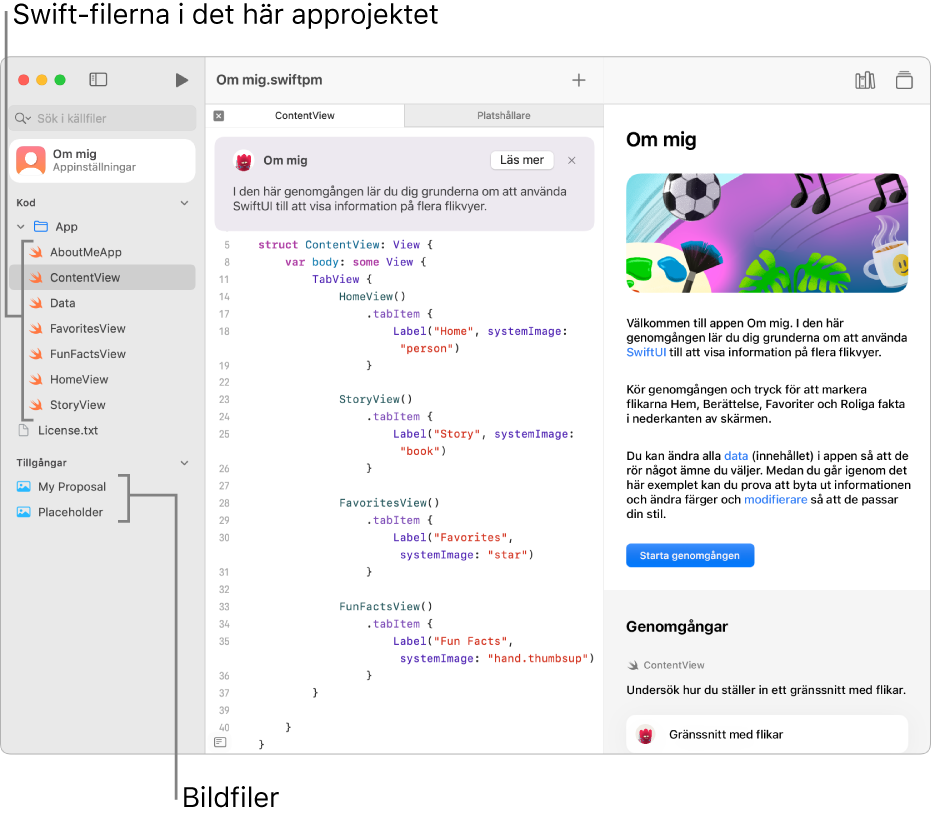 Ett approjekt med guiden öppen i det högra sidofältet med knappen Starta genomgången. Det vänstra sidofältet är också öppet och visar Swift-filerna och bilderna i projektet.