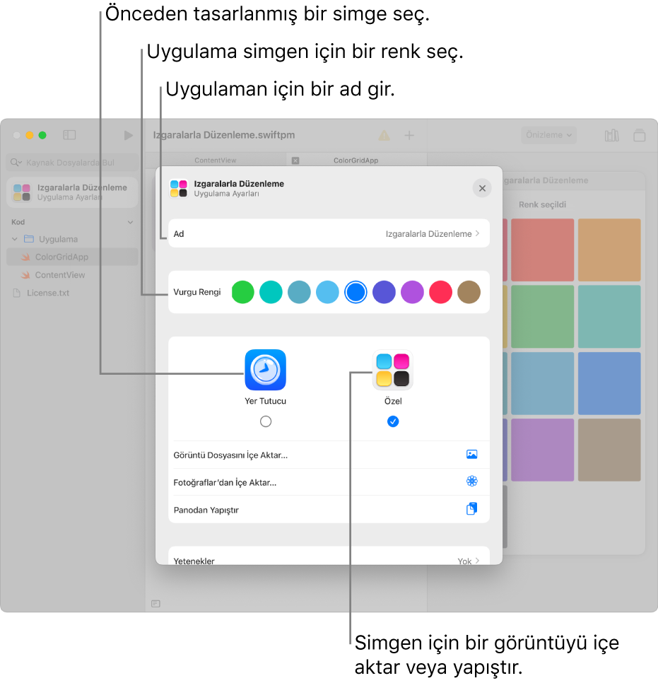 Uygulama adı alanını, renk seçeneklerini ve uygulama simgesi için kullanılacak resmi seçme seçeneklerini gösteren Uygulama Ayarları penceresi.