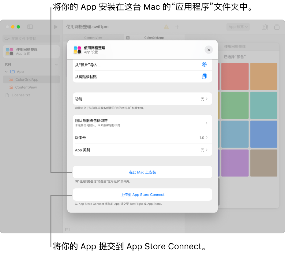 App 的“App 设置”窗口，使用网格视图整理内容。 你可以使用此窗口中的控制以在 Mac 上的“应用程序”文件夹中安装 App，以及将 App 上传到 App Store Connect。