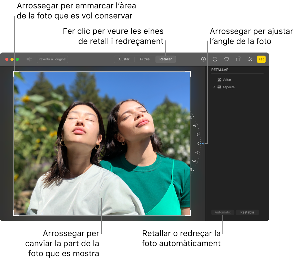 Una foto en la vista d’edició, amb l’opció Retallar seleccionada a la barra d’eines, un rectangle de selecció al voltant de la foto, una roda d’inclinació a la dreta de la foto i el boto Automàtic a la part inferior dreta.