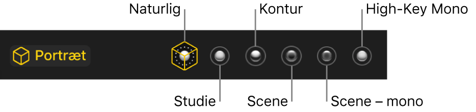 Lyseffekter til portrætfunktion, herunder (fra venstre til højre) Naturlig, Studie, Kontur, Scene, Scene – mono og High-Key Mono.