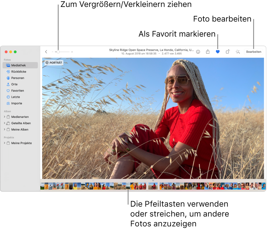 Das Fenster „Fotos“ mit einem vergrößert dargestellten Foto rechts und einer Reihe von Miniaturen darunter. Die Symbolleiste oben umfasst den Zoomregler und die Tasten „Favorit“ und „Bearbeiten“.