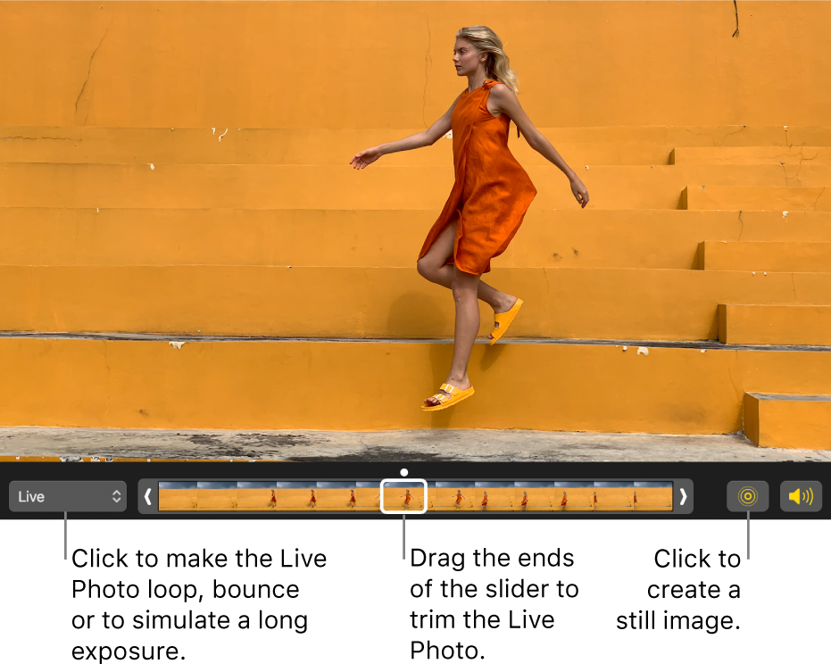 A Live Photo in editing view with a slider beneath it showing the frames of the photo. The Live Photo button and Speaker button are to the left of the slider, and to the right is a pop-up menu you can use to add a loop, bounce, or long exposure effect.