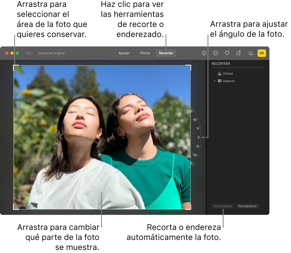 Una foto en la vista de edición con la herramienta Recortar en la barra de herramientas, un rectángulo de selección alrededor de la foto, una rueda de inclinación a la derecha de la foto y el botón Automático en la parte inferior derecha.