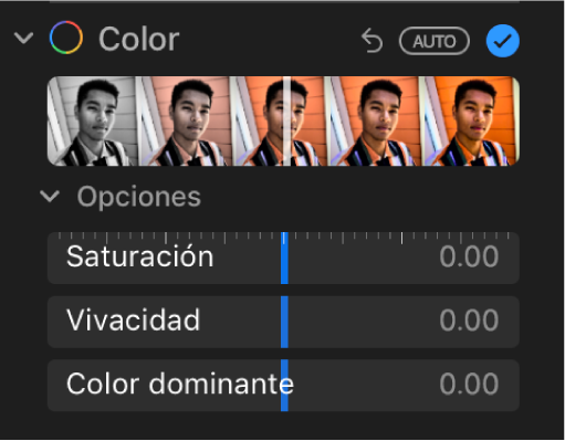 El área Color del panel Ajustar mostrando los reguladores de Saturación, Vivacidad y “Color dominante”.