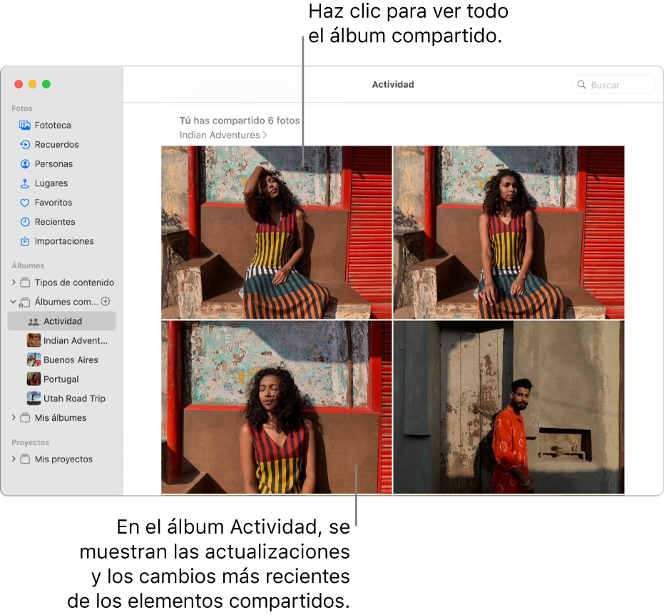 La ventana Fotos con Actividad seleccionado en la barra lateral y el álbum Actividad mostrado a la derecha.