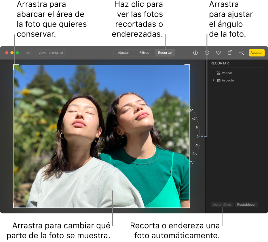 Una foto en la vista de edición, con Recortar seleccionado en la barra de herramientas, un rectángulo de selección alrededor de la foto, una rueda de inclinación a la derecha de la foto y un botón Automático en la parte inferior derecha.