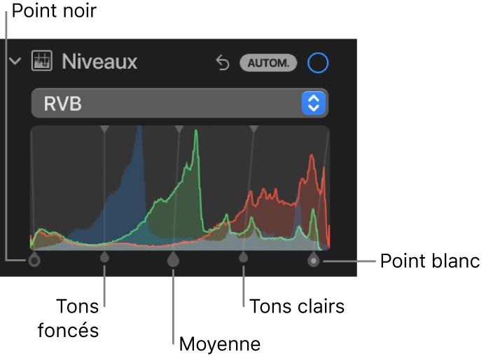 Les commandes de niveaux dans la sous-fenêtre Ajuster, montrant l’histogramme RVB au-dessus de poignées, notamment (de gauche à droite) point noir, ombres, tons intermédiaires, tons clairs et point blanc.