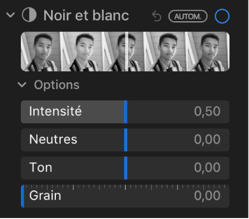 La zone Noir et blanc de la sous-fenêtre Ajuster présentant les curseurs Intensité, Neutres, Ton et Grain.