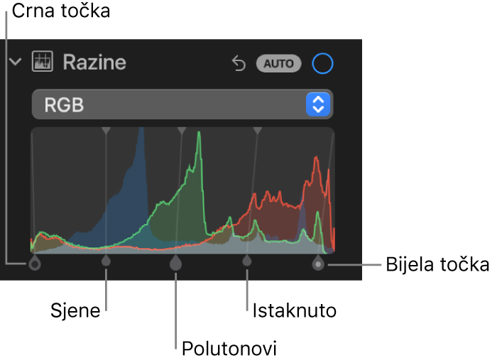 Kontrole Razine u prozoru Prilagodi s prikazom RGB histogram s hvatištima ispod, uključujući (slijeva nadesno) crnu točku, sjene, srednje tonove, svijetla područja i bijelu točku.