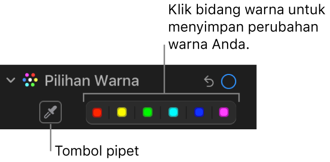 Kontrol Pilihan Warna di panel Sesuaikan, menampilkan tombol Pipet dan sumber warna.