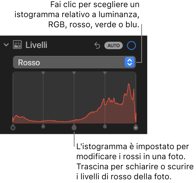 I controlli di Livelli nel pannello Regola, che mostrano l'istogramma Rosso con le maniglie al di sotto per regolare i livelli di rosso della foto.