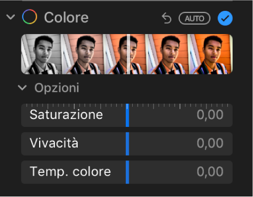 L’area Colore del pannello Regola con i cursori Saturazione, Vivacità e “Temp. colore”.