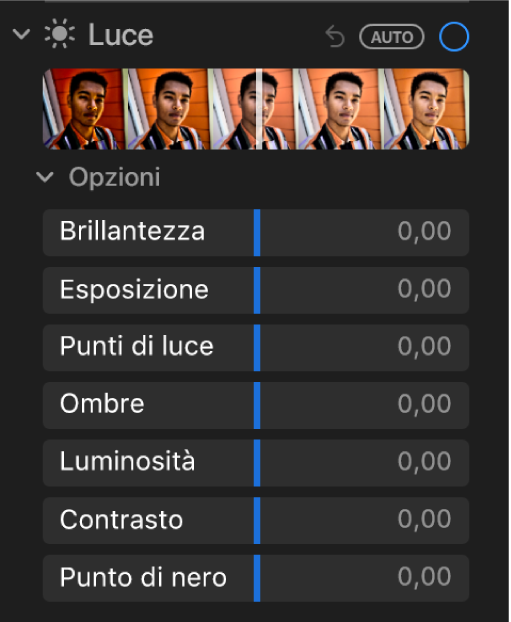L’area Luce del pannello Regola con i cursori Brillantezza, Esposizione, Luci, Ombre, Luminosità, Contrasto e “Punto di nero”.