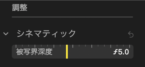 シネマティック調整コントロール。「被写界深度」スライダが表示されています。