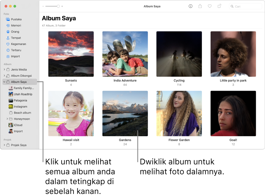 Tetingkap Foto dengan Album Saya dipilih dalam bar sisi dan album yang anda cipta dipaparkan dalam tetingkap di sebelah kanan.