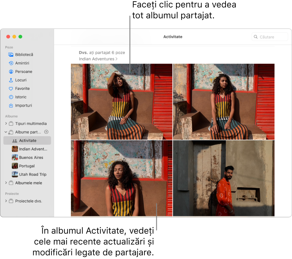 Fereastra Poze cu secțiunea Activitate selectată în bara laterală și albumul Activitate afișat în partea dreaptă.