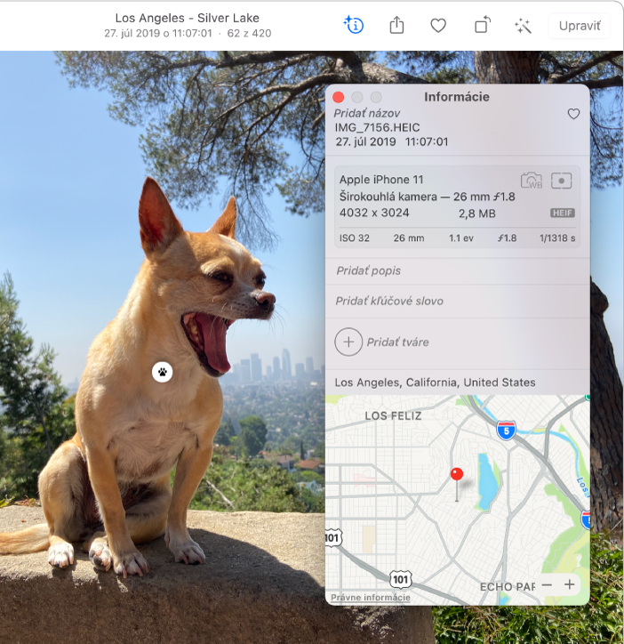 Fotka čivavy sediacej na kameni a okno Informácie otvorené vedľa nej. Ikona Vizuálne vyhľadávanie sa zobrazuje na hrudi psíka.