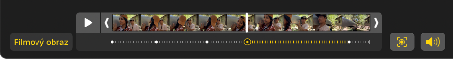 Prehliadač snímok, v ktorom sú zobrazené snímky videa vo filmovom režime. Vľavo je tlačidlo Film a vpravo je tlačidlo Audio.
