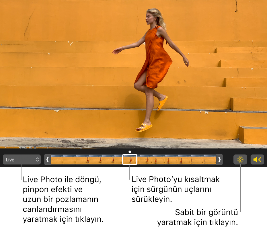 Düzenleme görüntüsünde altında fotoğrafın çerçevelerini gösteren sürgüyle birlikte görünen bir Live Photo. Live Photo düğmesi ve Hoparlör düğmesi sürgünün sol tarafındadır, sağ tarafında ise döngü, pinpon ve uzun pozlama efekti eklemek için kullanabileceğiniz açılır menü bulunur.