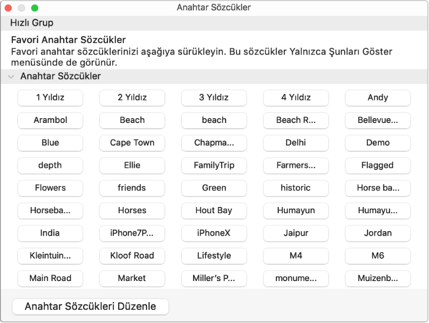 Anahtar Sözcük Yöneticisi penceresindeki Anahtar Sözcükler, üstte Hızlı Grup alanı ve sol altta Anahtar Sözcükleri Düzenle düğmesi ile.