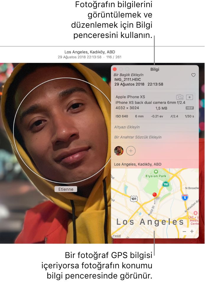 Fotoğrafın bilgi penceresi.