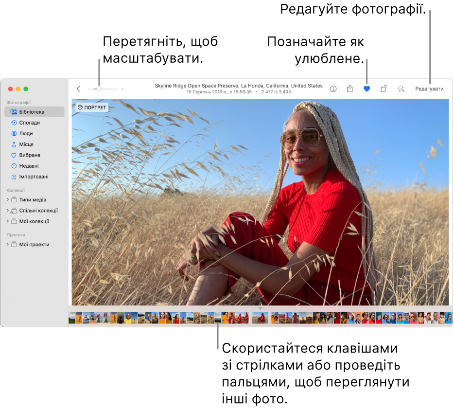Вікно програми «Фотографії» зі збільшеним фото справа з рядком мініатюр нижче. Панель інструментів угорі містить повзунок «Масштаб», кнопку «Улюблене» та кнопку редагування.