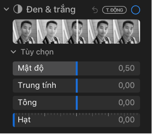 Khu vực Đen & trắng của khung Điều chỉnh đang hiển thị các thanh trượt cho Mật độ, Trung tính, Tông và Độ sần.