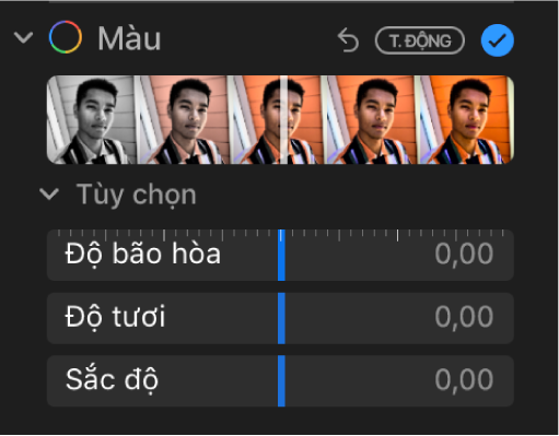 Khu vực Màu của khung Điều chỉnh đang hiển thị các thanh trượt cho Độ bão hòa, Độ rung và Sắc độ.