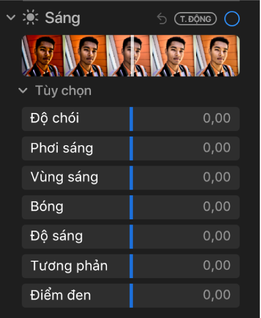 Khu vực Ánh sáng của khung Điều chỉnh đang hiển thị các thanh trượt cho Độ chói, Độ phơi sáng, Vùng tô sáng, Bóng, Độ sáng, Độ tương phản và Điểm đen.