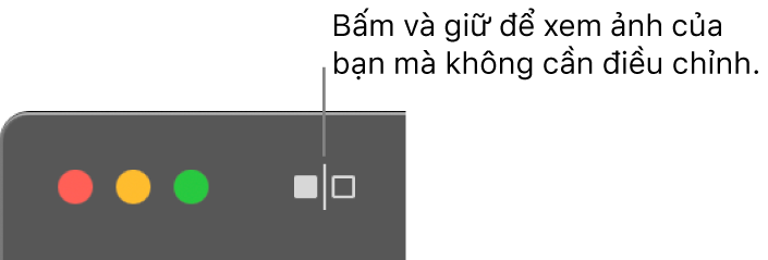 Nút Không có điều chỉnh, bên cạnh các điều khiển cửa sổ ở góc trên cùng bên trái của cửa sổ.