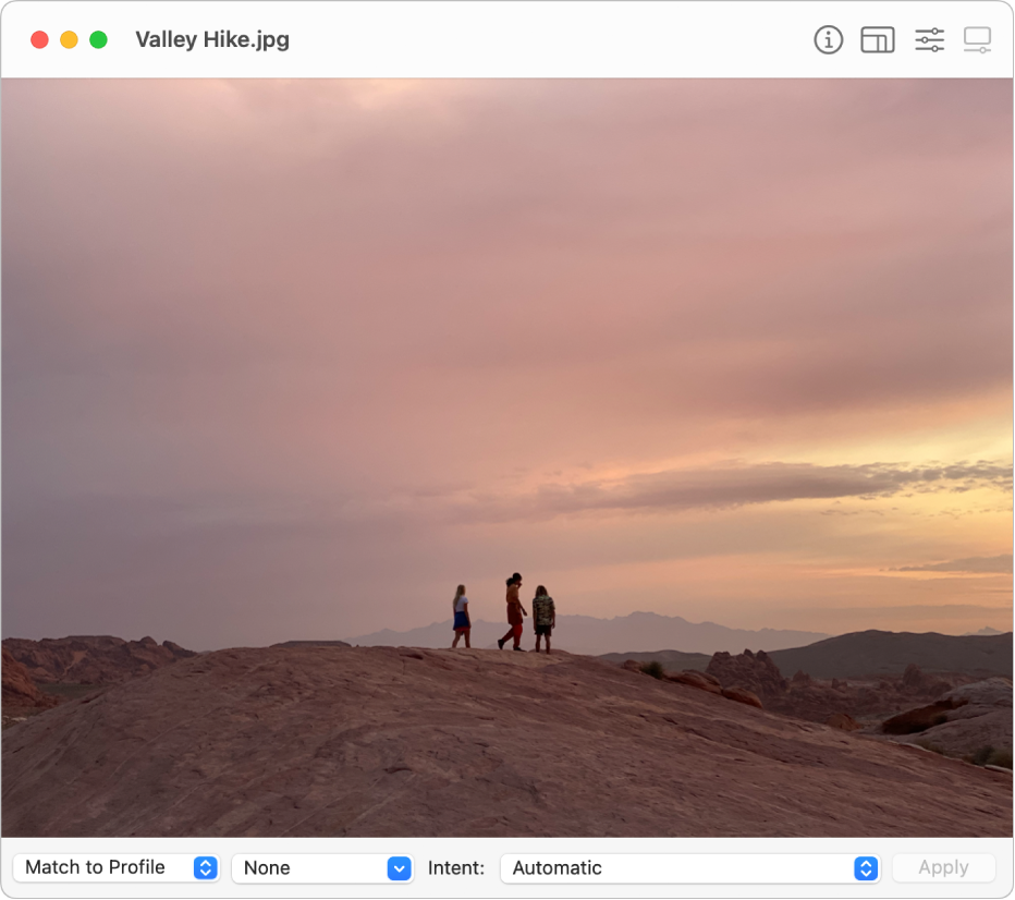 Fereastra Utilitar ColorSync afișând o imagine cu un bărbat stând pe o placă de surf în ocean sau apa unui golf.