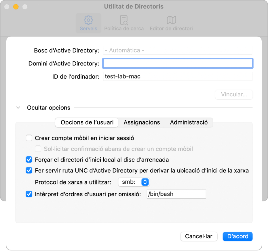 El quadre de diàleg de configuració d’Active Directory, amb la secció d’opcions ampliada.