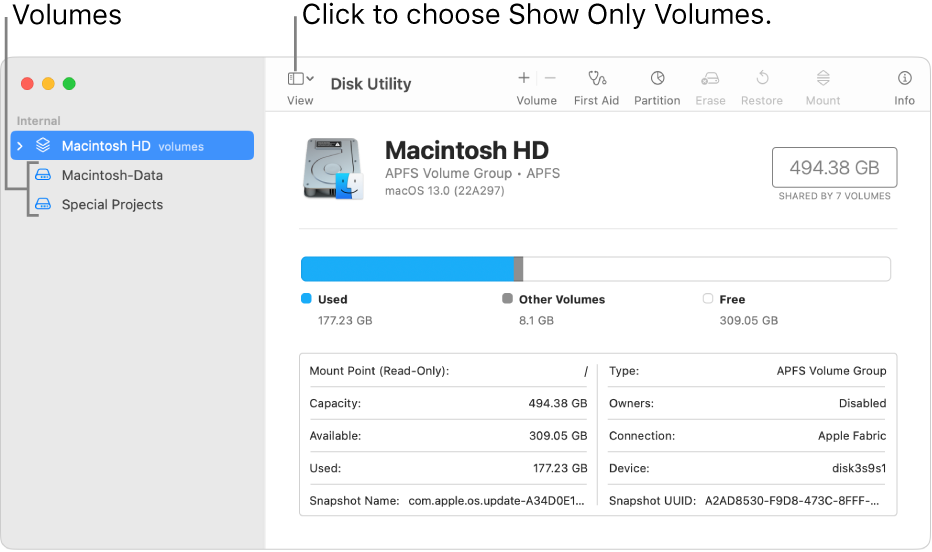 A Disk Utility window in show only volumes view.