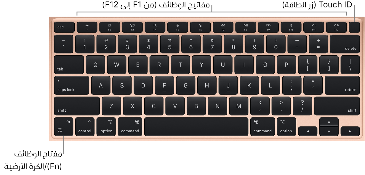 لوحة مفاتيح MacBook Air يظهر بها صف مفاتيح الوظائف وزر الطاقة Touch ID على امتداد الجزء العلوي، ومفتاح الوظائف (Fn) في الزاوية السفلية اليسرى منها.