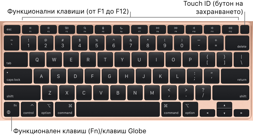 Клавиатурата на MacBook Air, която показва редицата с функционални клавиши и бутона за захранване Touch ID в горния край, и клавиша Function (Fn) в долния ляв ъгъл.