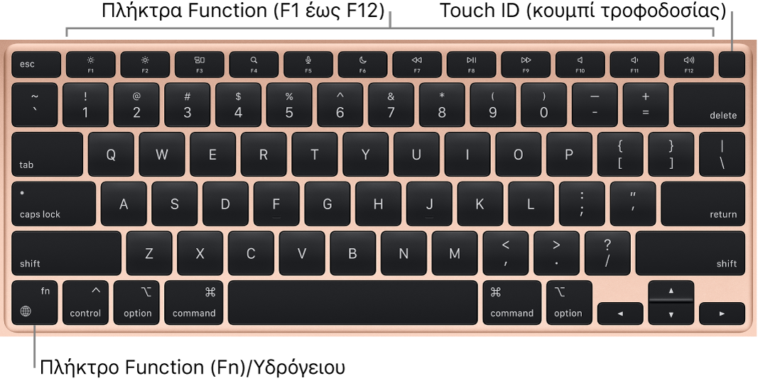 Το πληκτρολόγιο του MacBook Air στο οποίο φαίνονται τα πλήκτρα λειτουργιών και το κουμπί τροφοδοσίας Touch ID (λειτουργίας) στο επάνω μέρος, και το πλήκτρο λειτουργίας Fn στην κάτω αριστερή γωνία.