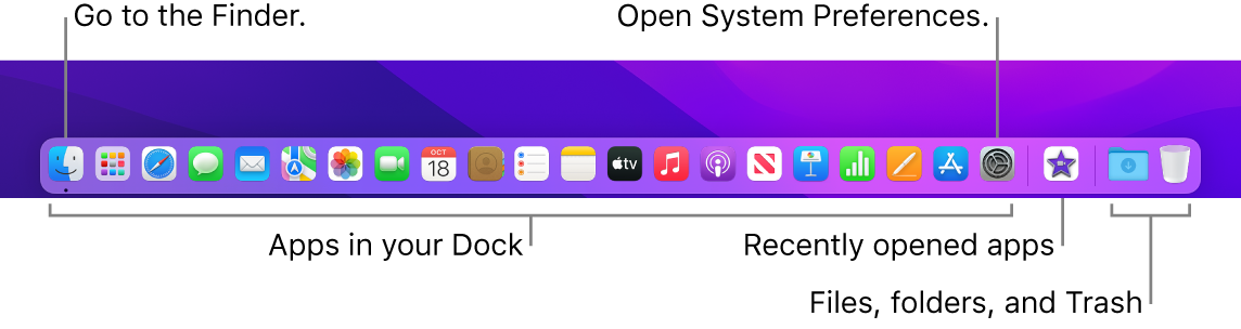The Dock, showing the Finder, System Preferences, and the divider in the Dock that separates apps from files and folders.