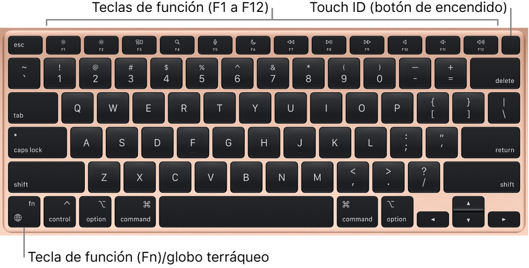 El teclado de la MacBook Air mostrando la fila de teclas de función y el botón de encendido con Touch ID en la parte superior y la tecla de función Fn en la esquina inferior izquierda.