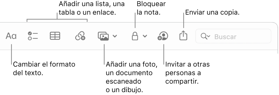 La barra de herramientas de Notas con llamadas a las herramientas de formato de texto, lista de comprobación, tabla, enlace, fotos/contenido multimedia y enviar una copia.