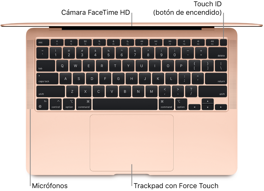 Vista superior de un MacBook Air abierto, con indicaciones sobre dónde se encuentran la cámara FaceTime HD, el botón Touch ID (botón de arranque), los micrófonos y el trackpad Force Touch.