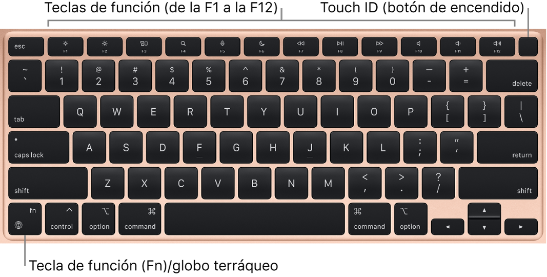 El teclado del MacBook Air, con la fila de teclas de función y el botón de encendido Touch ID en la parte superior, y la tecla de función (Fn) en la esquina inferior izquierda.